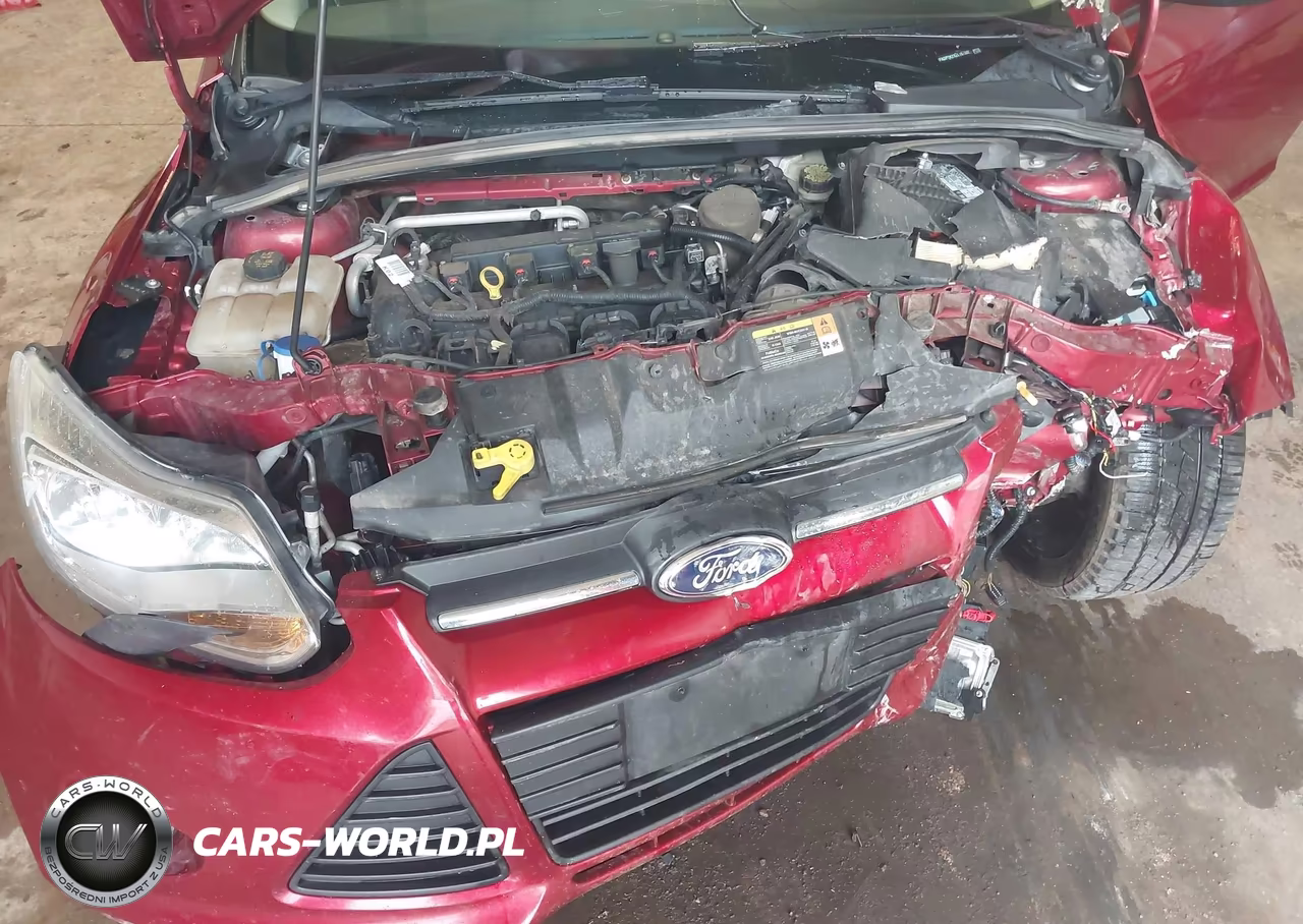 2014 Ford Focus Se VIN:1FADP3K2XEL197865 - 10