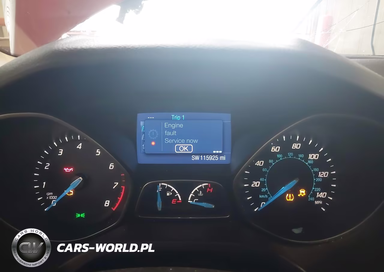 2014 Ford Focus Se VIN:1FADP3K2XEL197865 - 7
