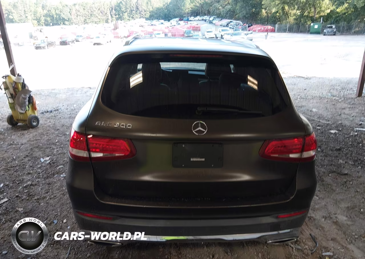 2016 Mercedes-Benz Glc 300 VIN:WDC0G4JB3GF020800 - 16