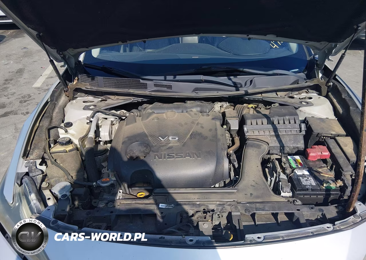 2017 Nissan Maxima 3.5 Platinum VIN:1N4AA6AP9HC447054 - 10
