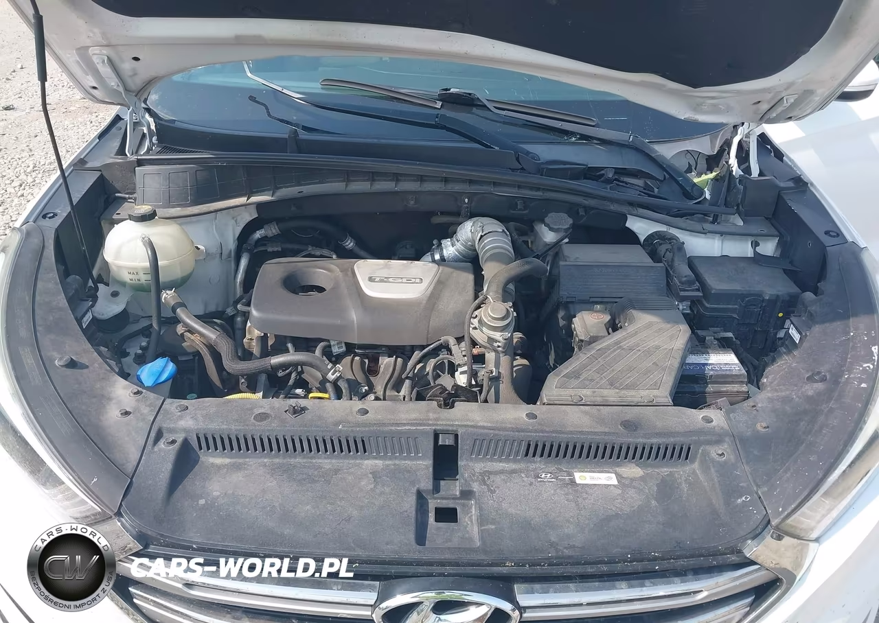 2017 Hyundai Tucson Limited VIN:KM8J3CA26HU388560 - 10