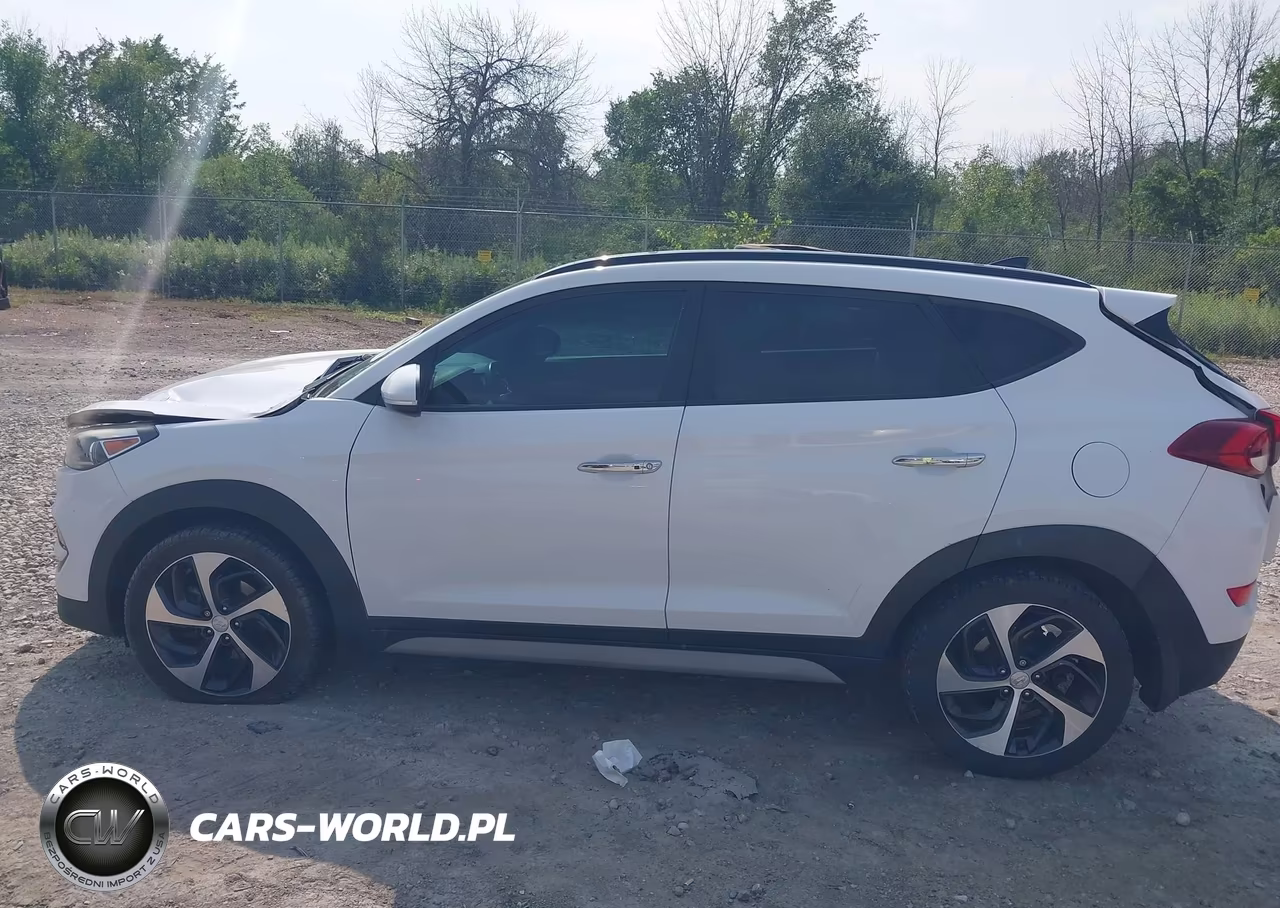 2017 Hyundai Tucson Limited VIN:KM8J3CA26HU388560 - 15