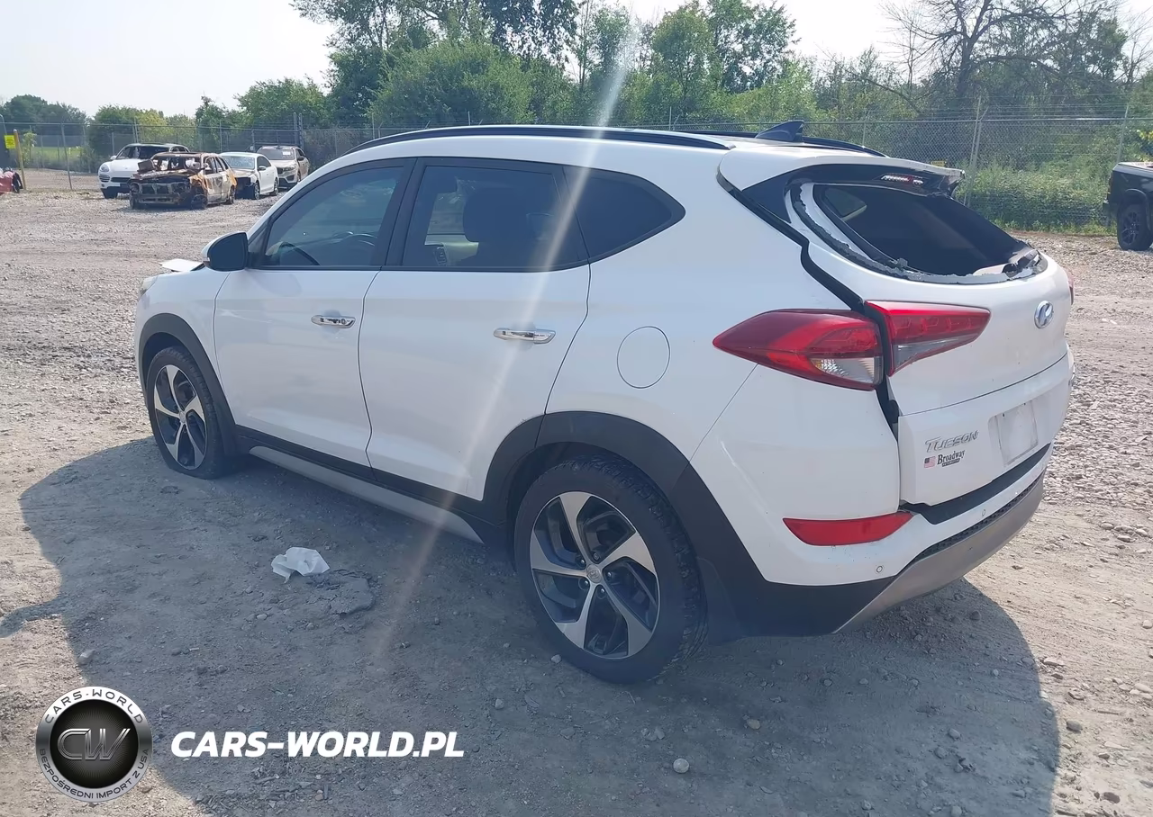 2017 Hyundai Tucson Limited VIN:KM8J3CA26HU388560 - 3
