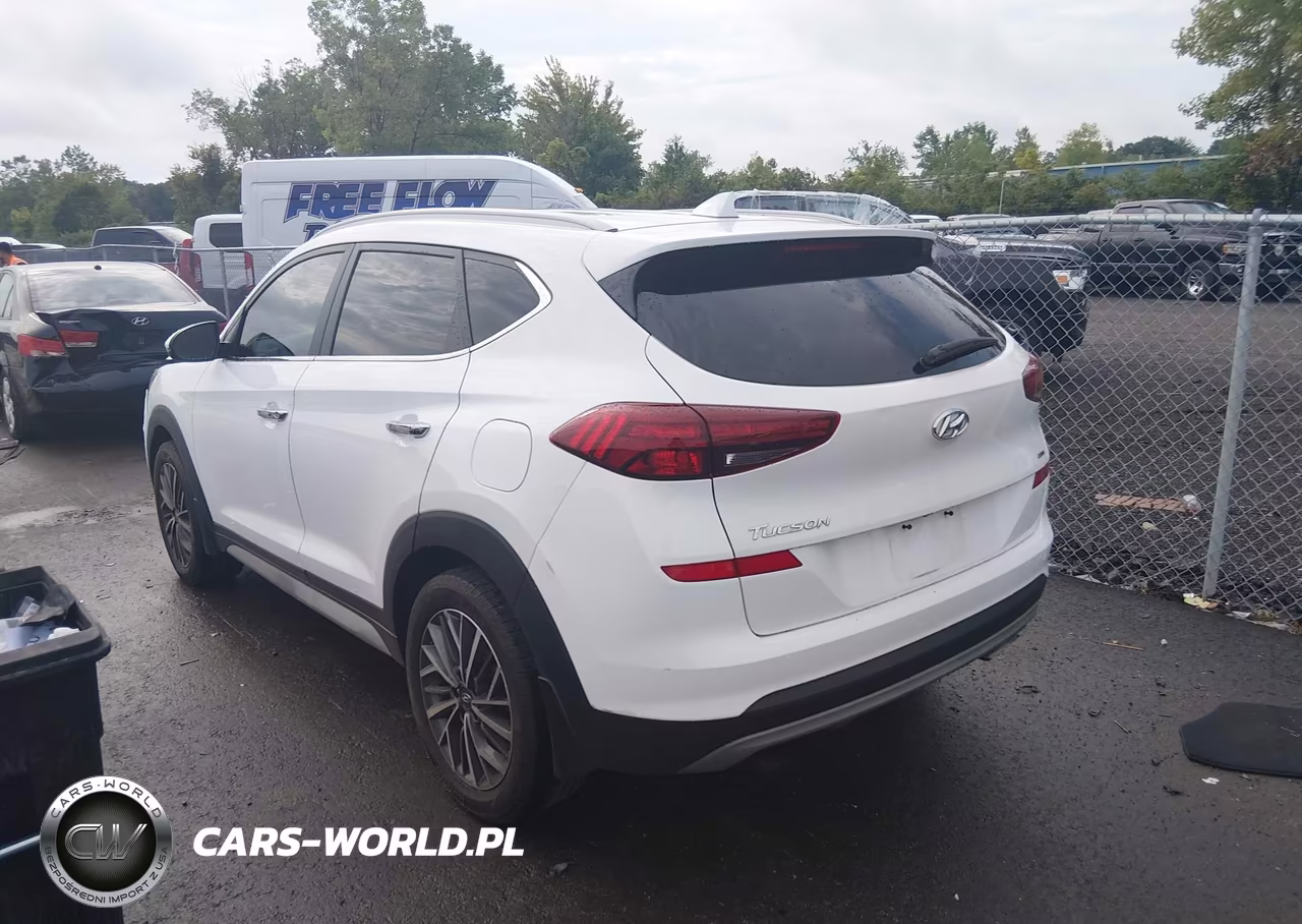 2019 Hyundai Tucson Limited VIN:KM8J3CALXKU917024 - 3