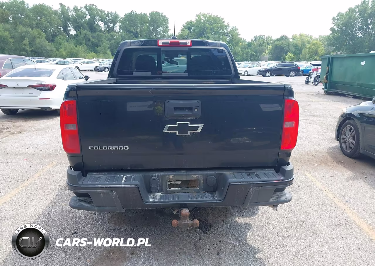 2017 Chevrolet Colorado 4Wd Z71 VIN:1GCPTDE18H1249814 - 17