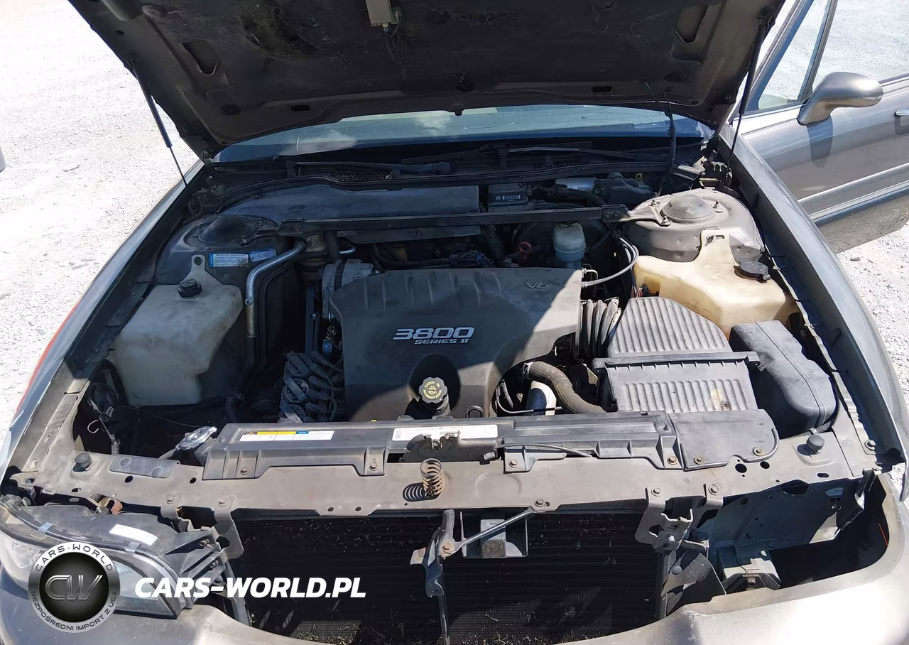 1999 Buick Lesabre Custom VIN:1G4HP52K8XH483710 - 10