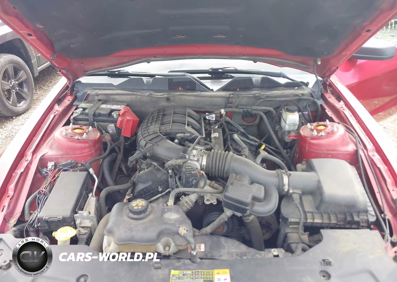 2011 Ford Mustang V6 VIN:1ZVBP8AM0B5128519 - 10