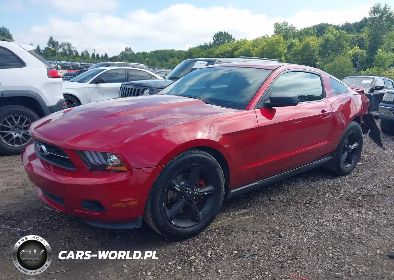 2011 Ford Mustang V6 VIN:1ZVBP8AM0B5128519 - 2