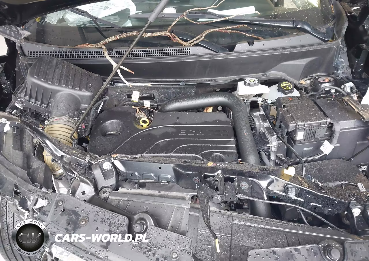 2024 Chevrolet Equinox Fwd Lt VIN:3GNAXKEG1RL336944 - 10