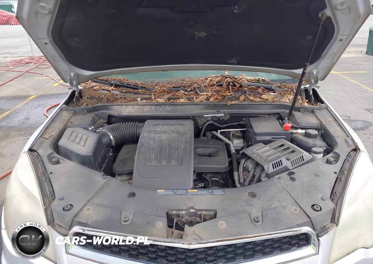 2010 Chevrolet Equinox Lt VIN:2CNFLEEWXA6346721 - 10