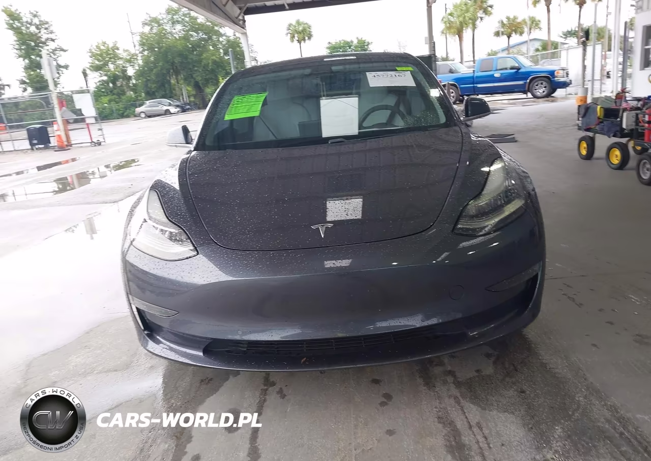 2019 Tesla Model 3 Long Range-Mid Range-Standard Range-Standard Range Plus VIN:5YJ3E1EA9KF486575 - 11