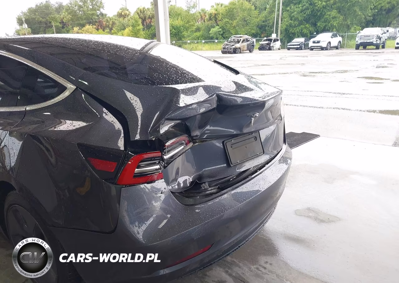 2019 Tesla Model 3 Long Range-Mid Range-Standard Range-Standard Range Plus VIN:5YJ3E1EA9KF486575 - 6
