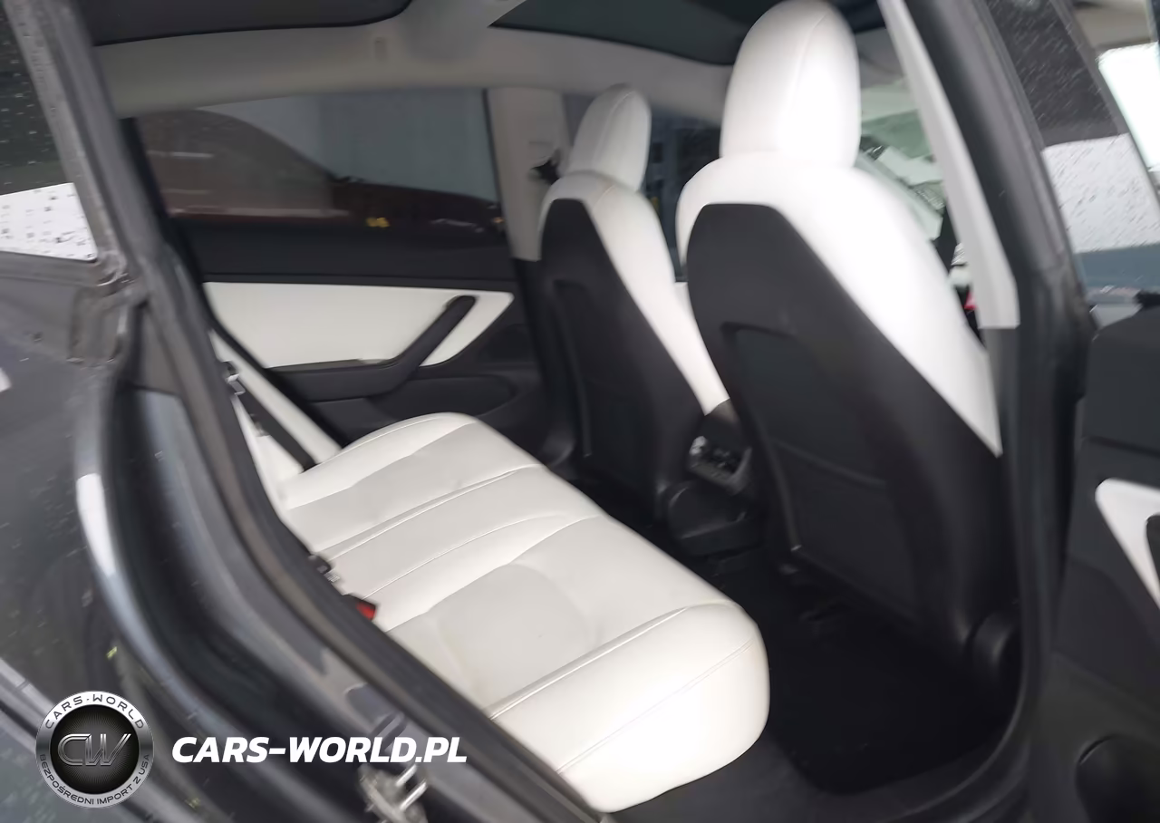 2019 Tesla Model 3 Long Range-Mid Range-Standard Range-Standard Range Plus VIN:5YJ3E1EA9KF486575 - 8
