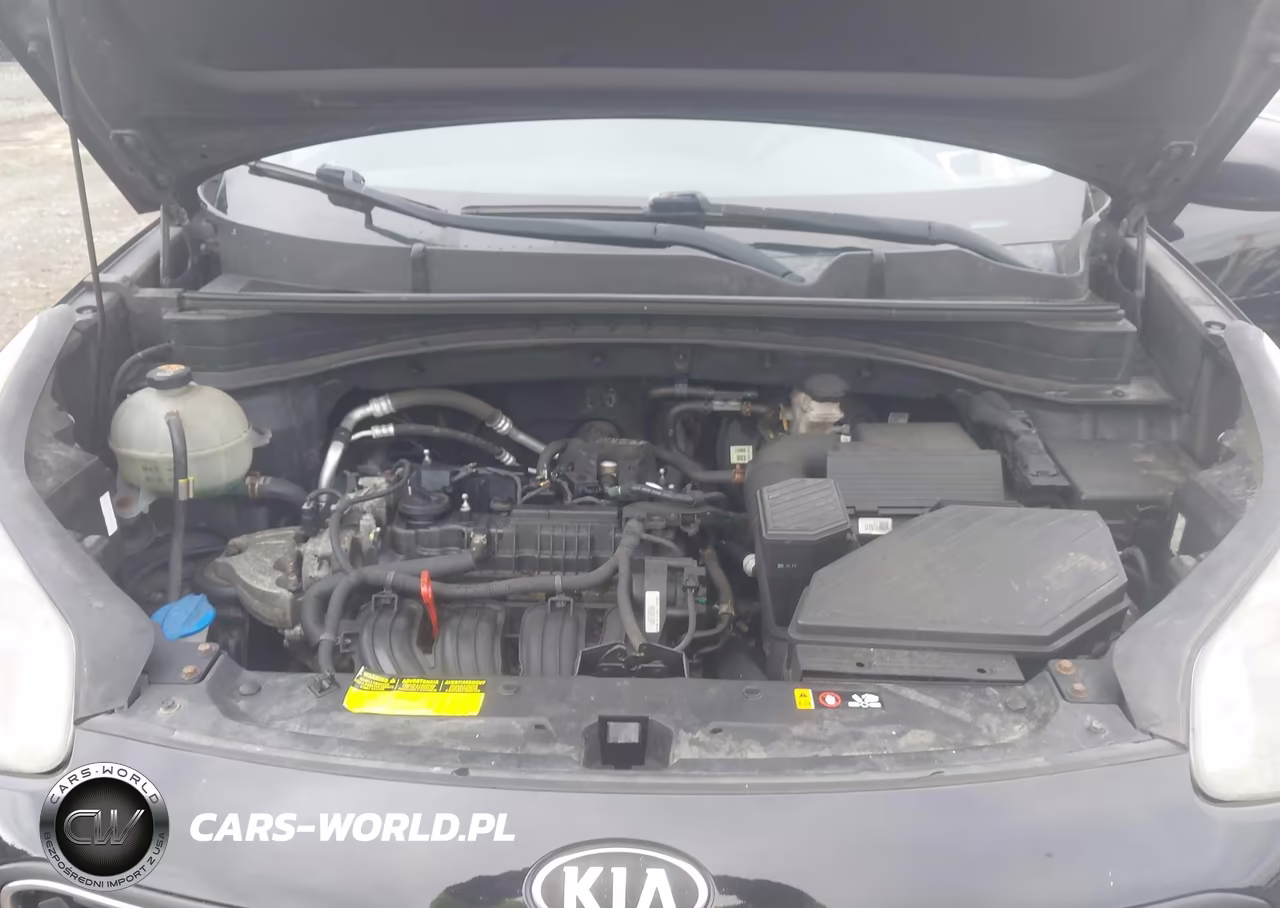 2017 Kia Sportage Lx VIN:KNDPM3AC1H7039230 - 10