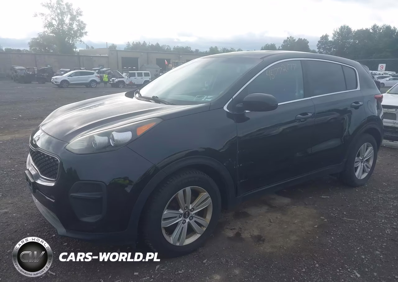 2017 Kia Sportage Lx VIN:KNDPM3AC1H7039230 - 2