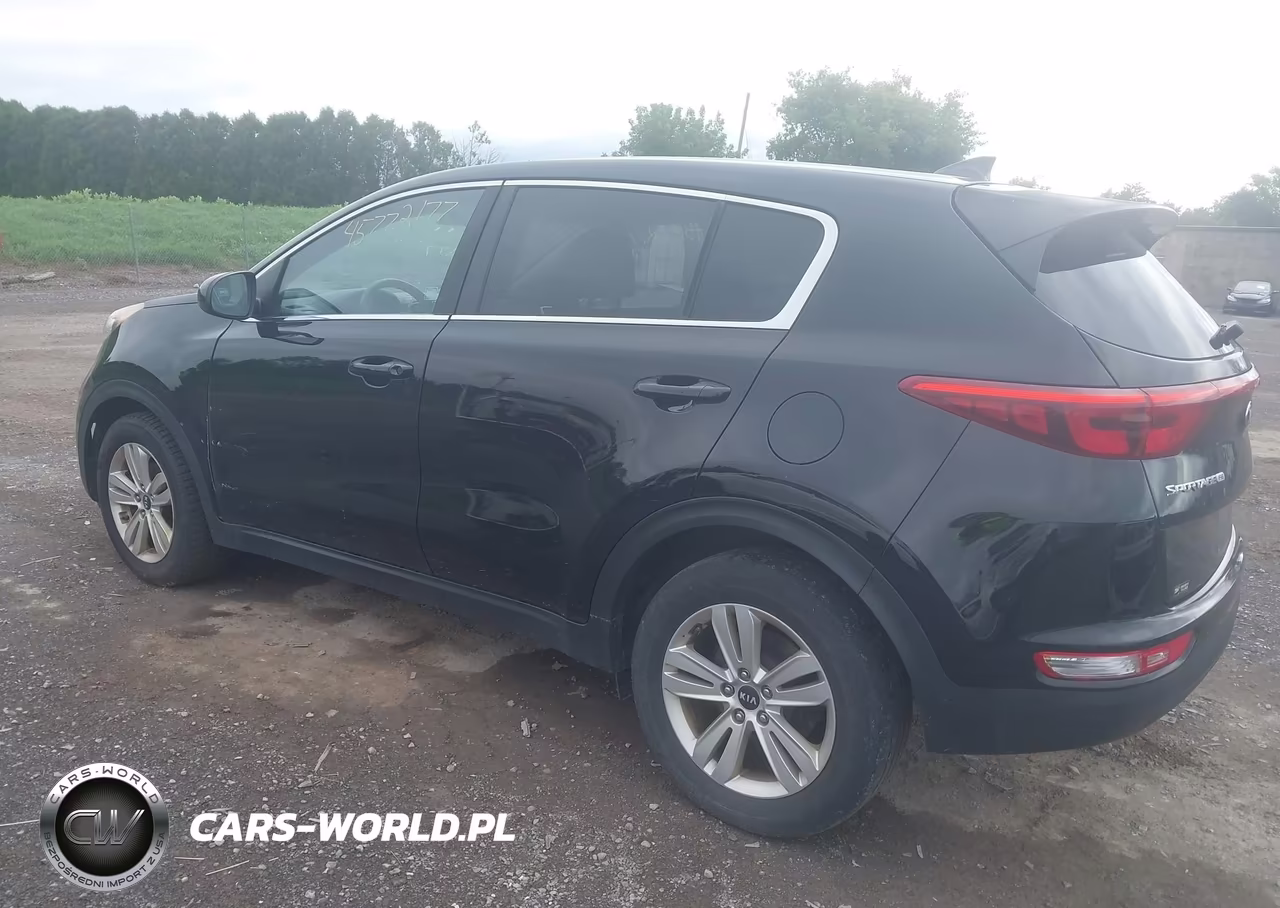 2017 Kia Sportage Lx VIN:KNDPM3AC1H7039230 - 3