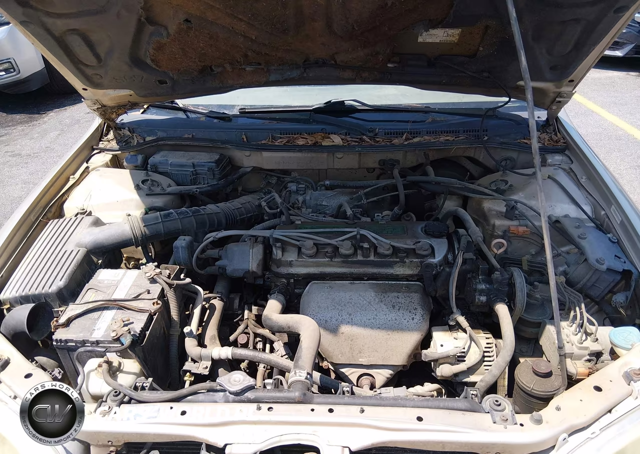 2000 Honda Accord 2.3 Ex VIN:JHMCG6674YC005095 - 10