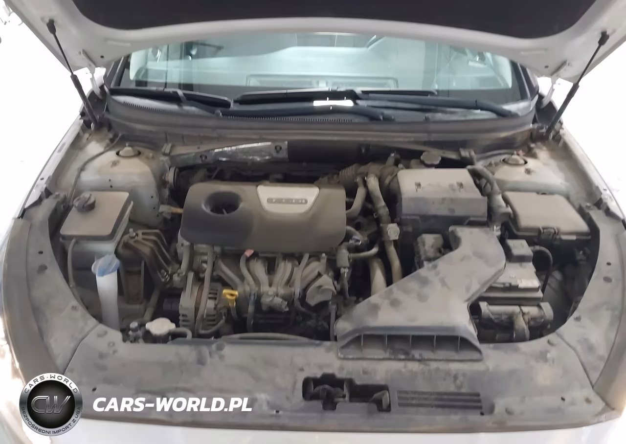 2019 Hyundai Sonata Eco VIN:5NPE24AA4KH802720 - 10