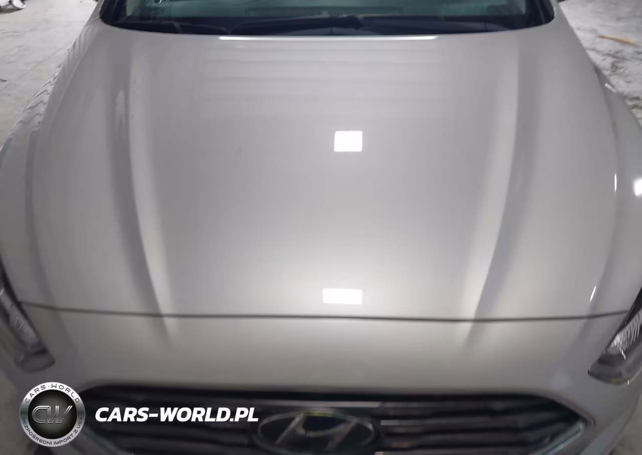2019 Hyundai Sonata Eco VIN:5NPE24AA4KH802720 - 14