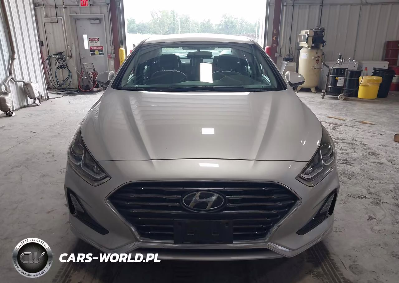 2019 Hyundai Sonata Eco VIN:5NPE24AA4KH802720 - 17