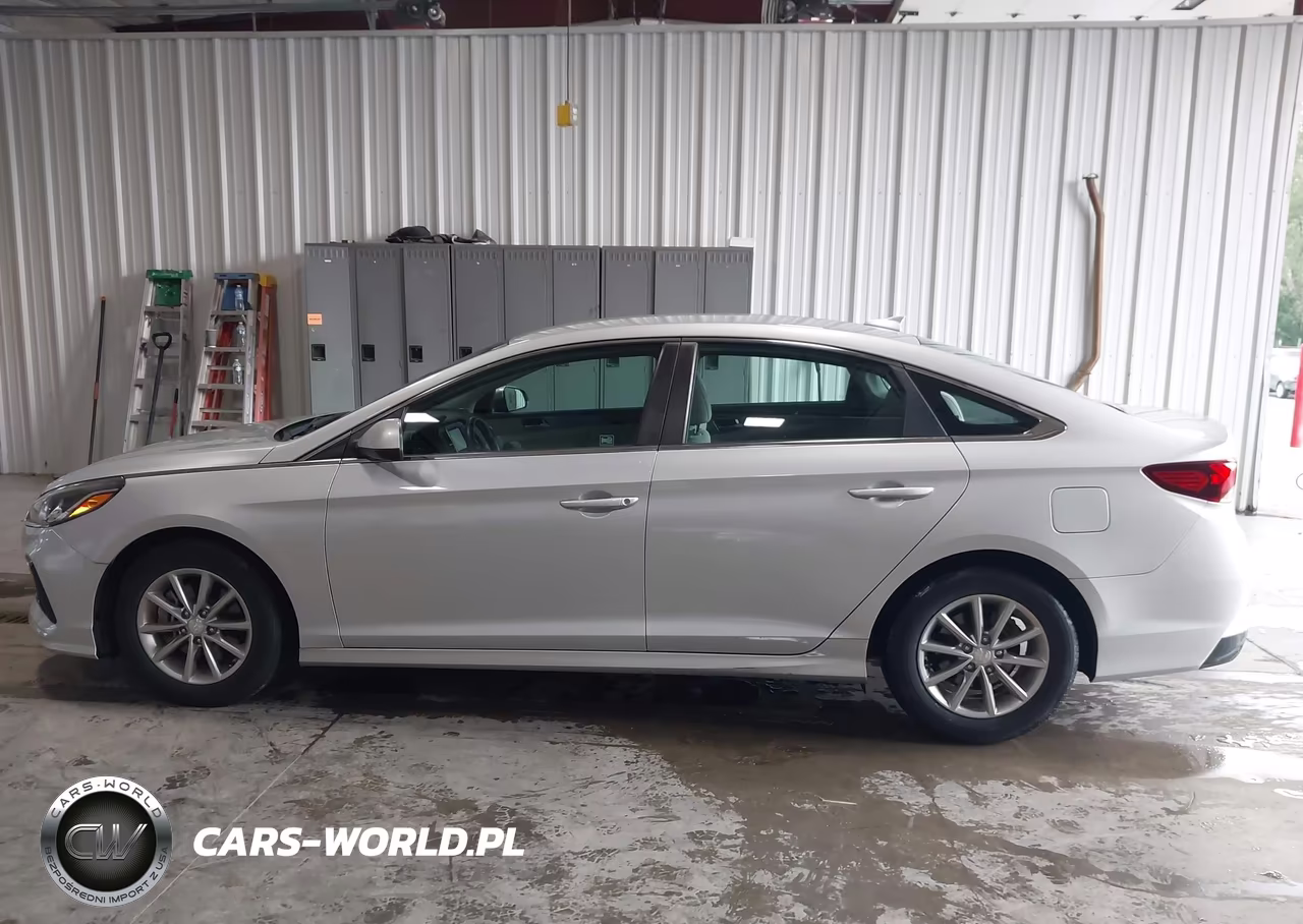 2019 Hyundai Sonata Eco VIN:5NPE24AA4KH802720 - 19