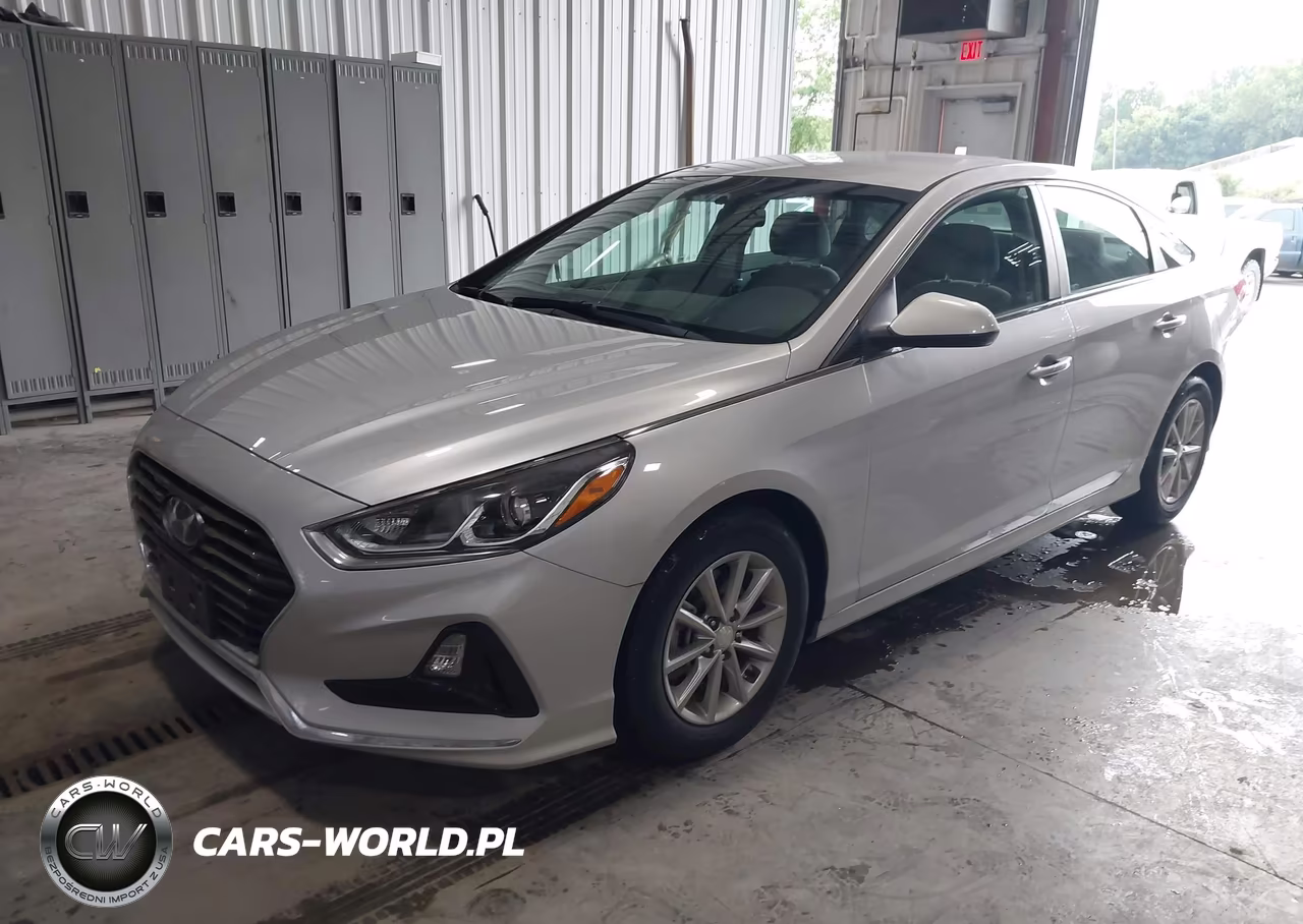 2019 Hyundai Sonata Eco VIN:5NPE24AA4KH802720 - 2