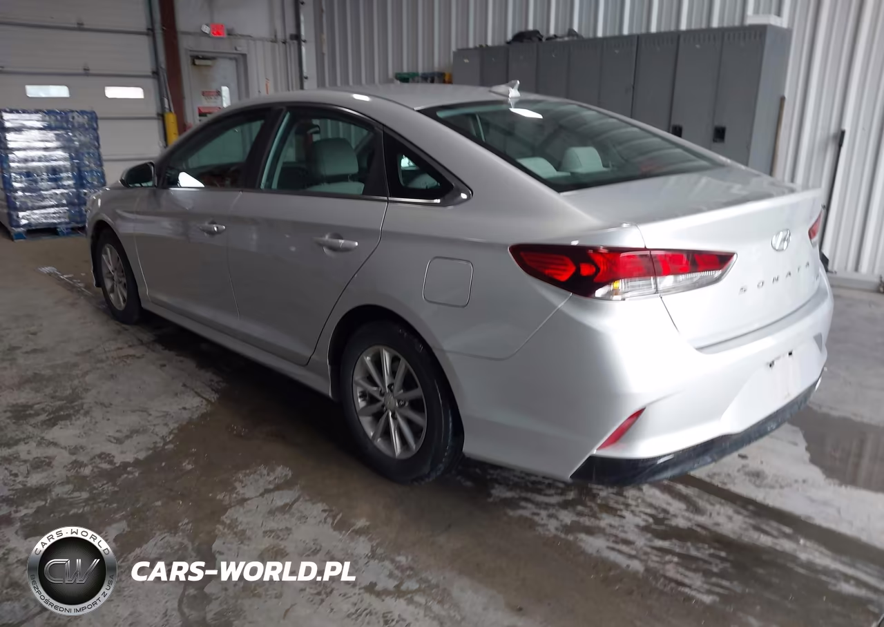 2019 Hyundai Sonata Eco VIN:5NPE24AA4KH802720 - 3