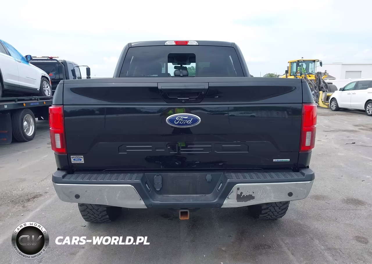 2020 Ford F-150 Lariat VIN:1FTEW1CP6LKE56175 - 17