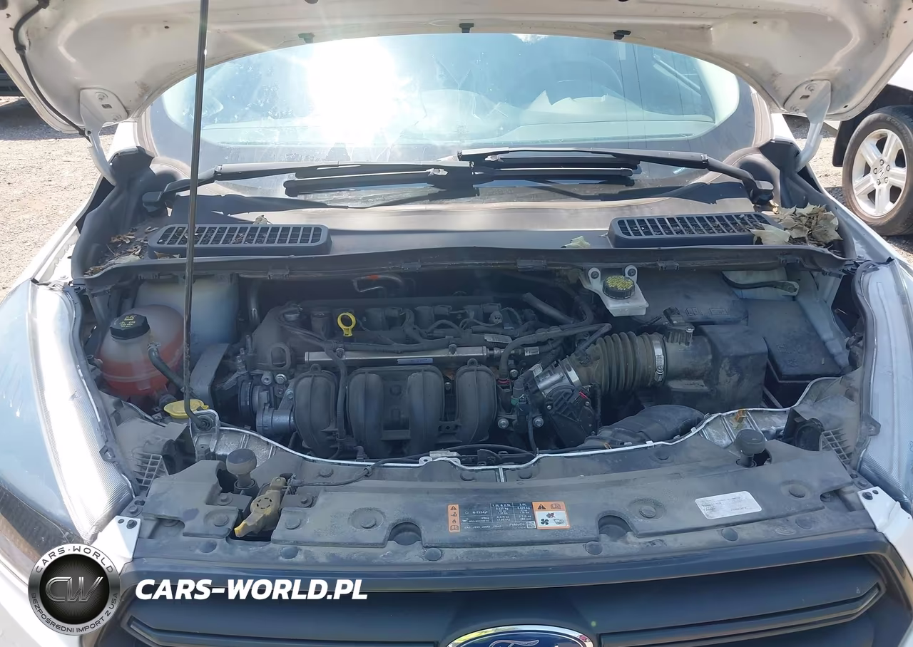 2019 Ford Escape S VIN:1FMCU0F71KUA60883 - 10