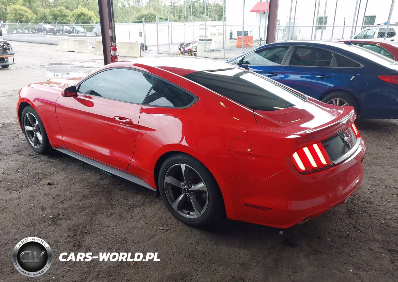 2016 Ford Mustang V6 VIN:1FA6P8AM7G5280928 - 3