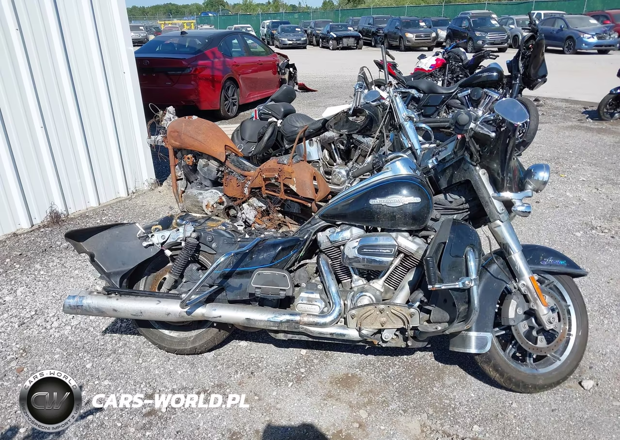 2018 Harley-Davidson Flhtk Shrine Ultra Limited VIN:1HD1KND14JB617081 - 12