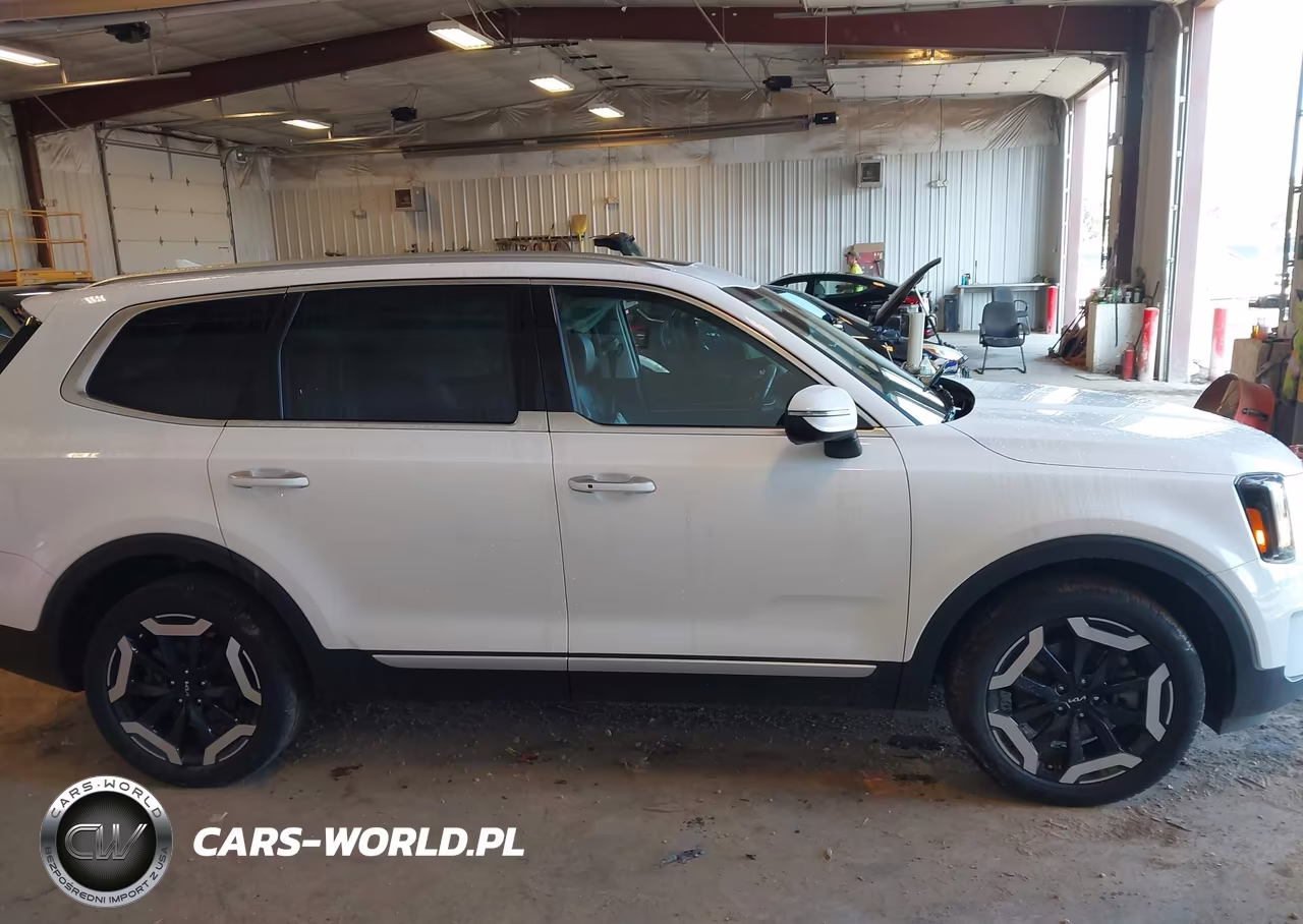 2024 Kia Telluride S VIN:5XYP6DGC9RG428063 - 13