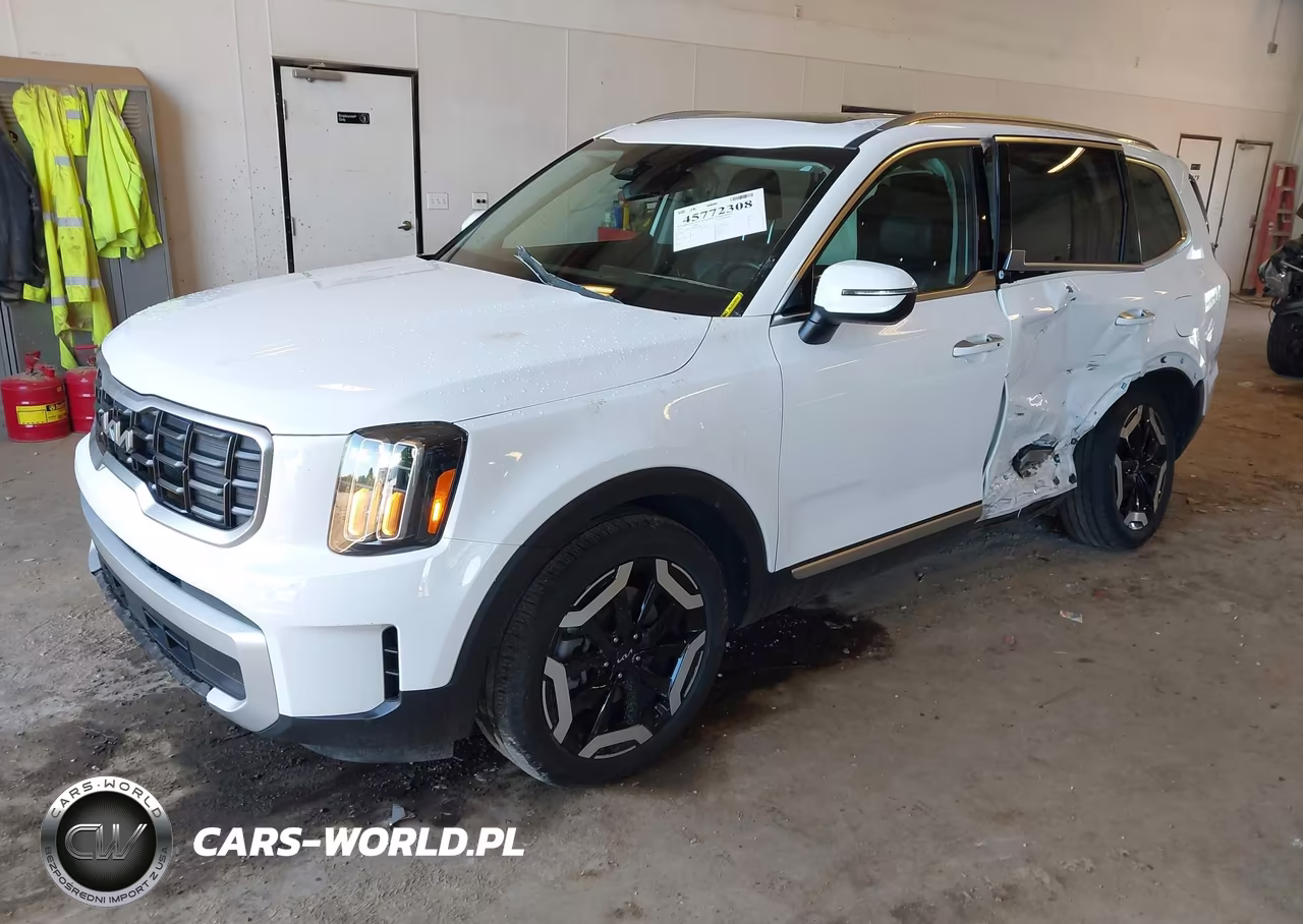 2024 Kia Telluride S VIN:5XYP6DGC9RG428063 - 2