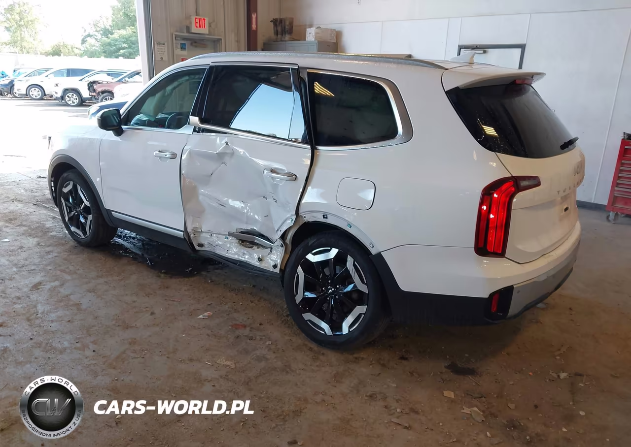 2024 Kia Telluride S VIN:5XYP6DGC9RG428063 - 3