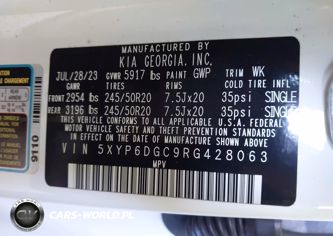 2024 Kia Telluride S VIN:5XYP6DGC9RG428063 - 9