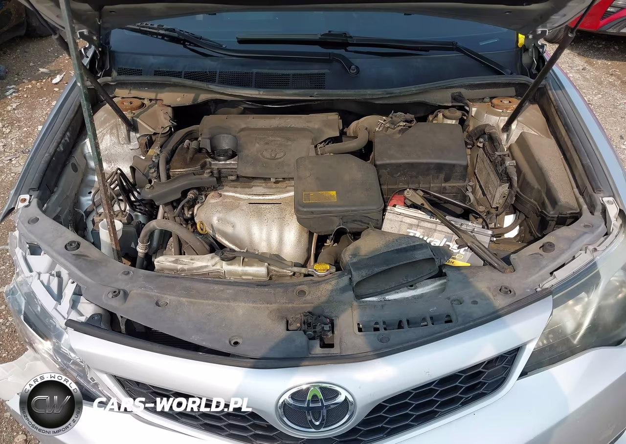 2014 Toyota Camry Se VIN:4T1BF1FK9EU825178 - 10