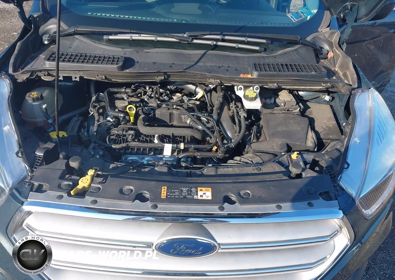 2019 Ford Escape Se VIN:1FMCU9GD5KUA43593 - 10
