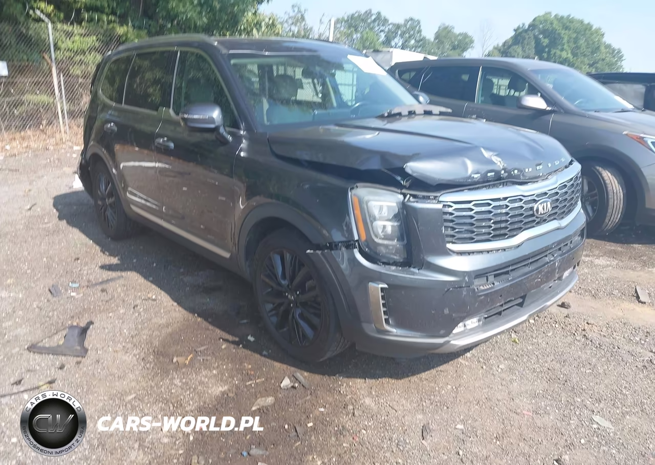 2020 Kia Telluride Sx VIN:5XYP5DHC0LG073986 - 1