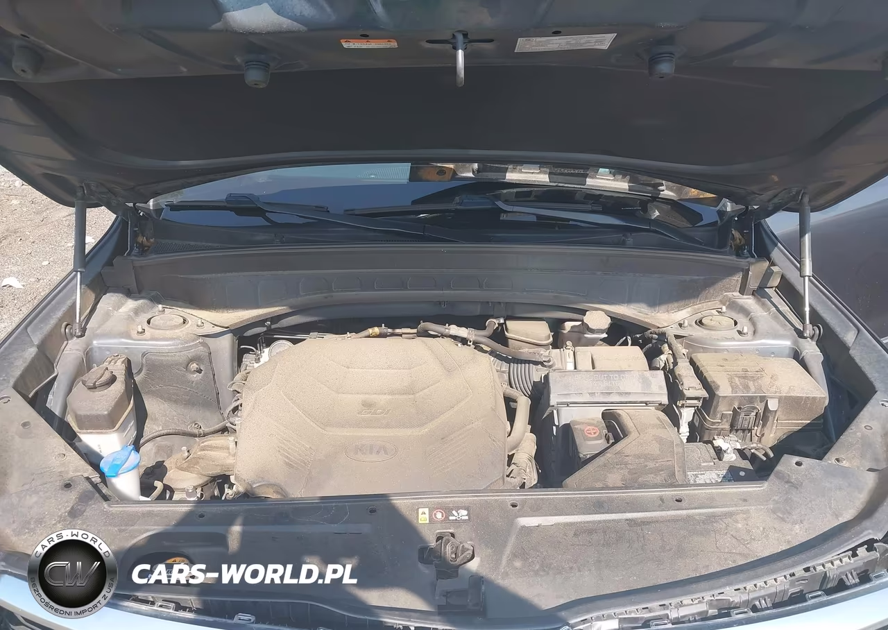 2020 Kia Telluride Sx VIN:5XYP5DHC0LG073986 - 10