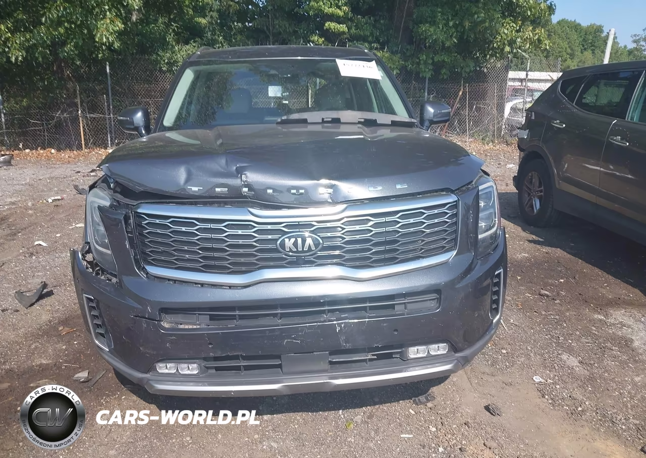 2020 Kia Telluride Sx VIN:5XYP5DHC0LG073986 - 12
