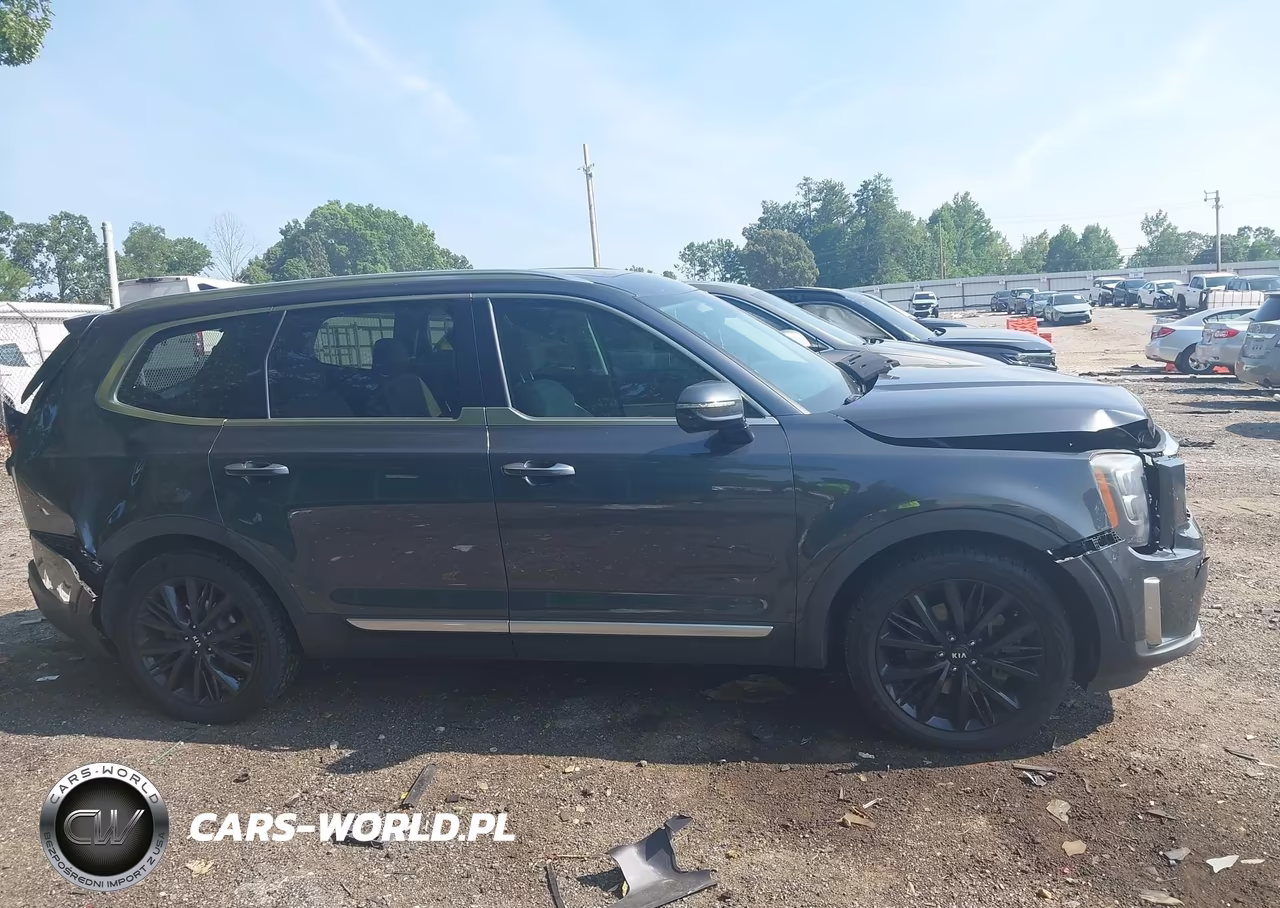 2020 Kia Telluride Sx VIN:5XYP5DHC0LG073986 - 13