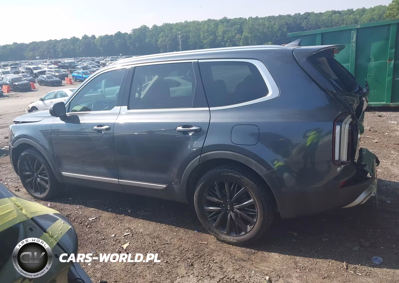 2020 Kia Telluride Sx VIN:5XYP5DHC0LG073986 - 14
