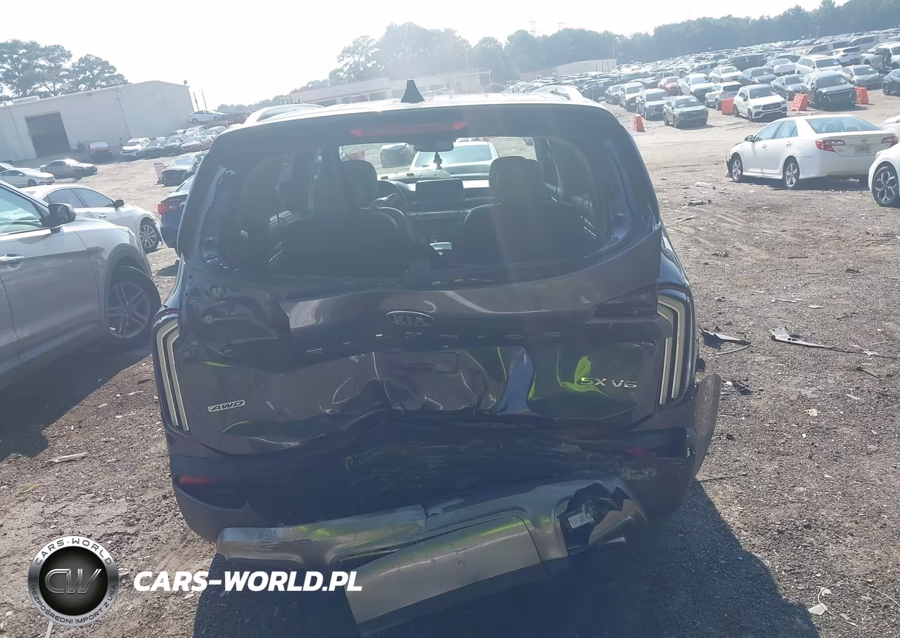 2020 Kia Telluride Sx VIN:5XYP5DHC0LG073986 - 16