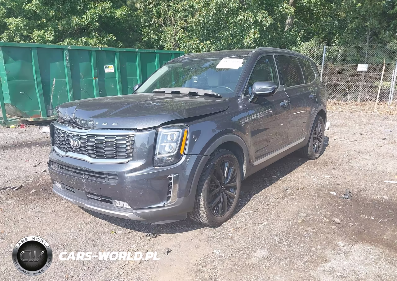 2020 Kia Telluride Sx VIN:5XYP5DHC0LG073986 - 2