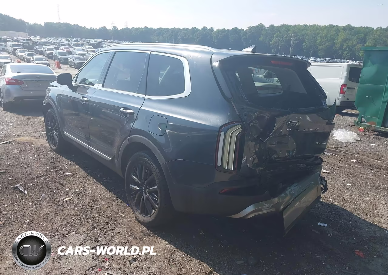 2020 Kia Telluride Sx VIN:5XYP5DHC0LG073986 - 3