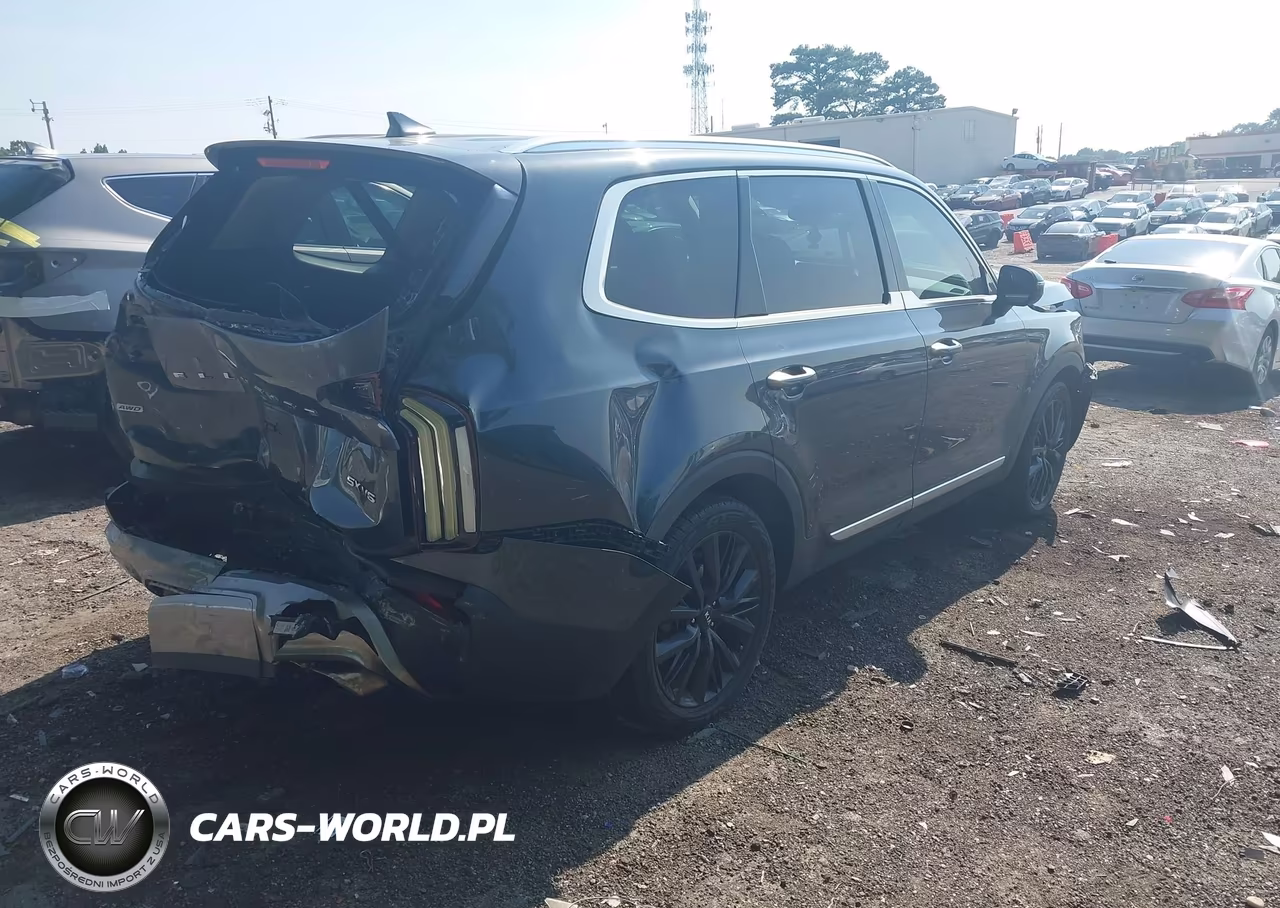 2020 Kia Telluride Sx VIN:5XYP5DHC0LG073986 - 4