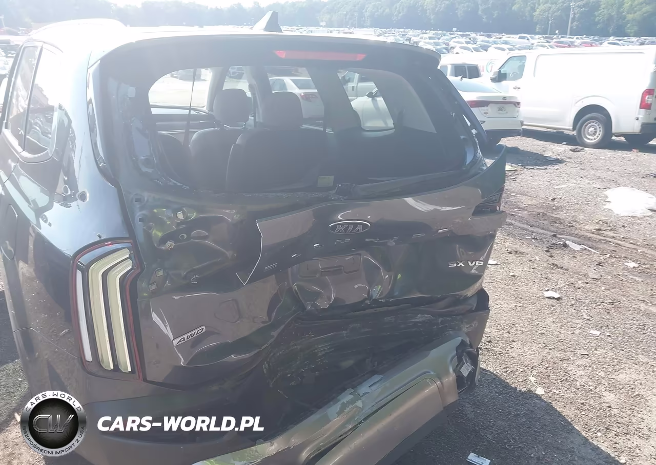 2020 Kia Telluride Sx VIN:5XYP5DHC0LG073986 - 6