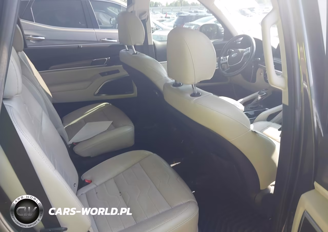 2020 Kia Telluride Sx VIN:5XYP5DHC0LG073986 - 8