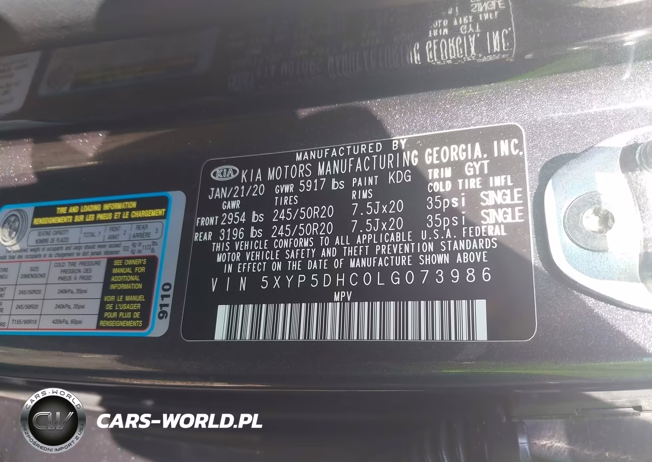 2020 Kia Telluride Sx VIN:5XYP5DHC0LG073986 - 9