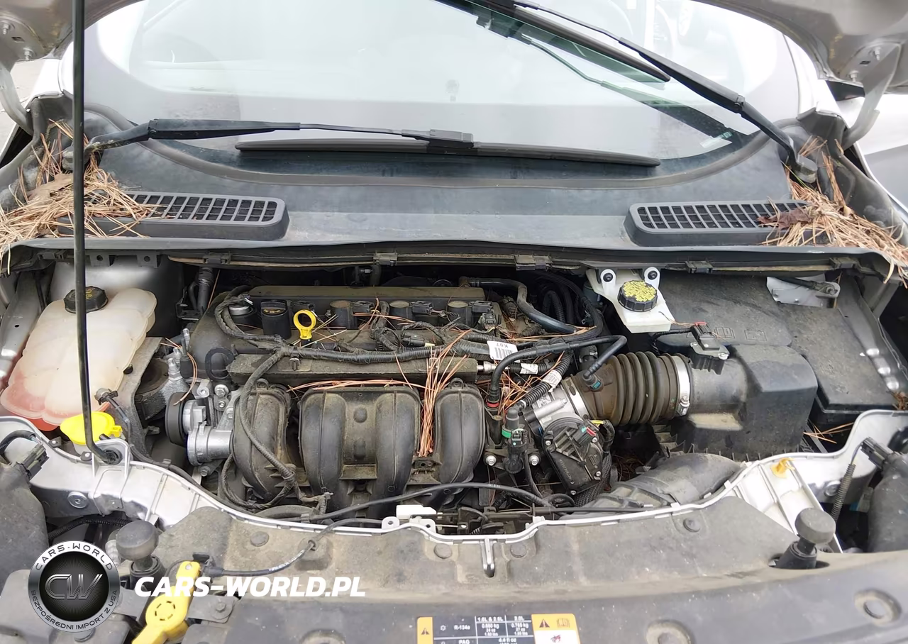 2016 Ford Escape Se VIN:1FMCU0G71GUB78874 - 10